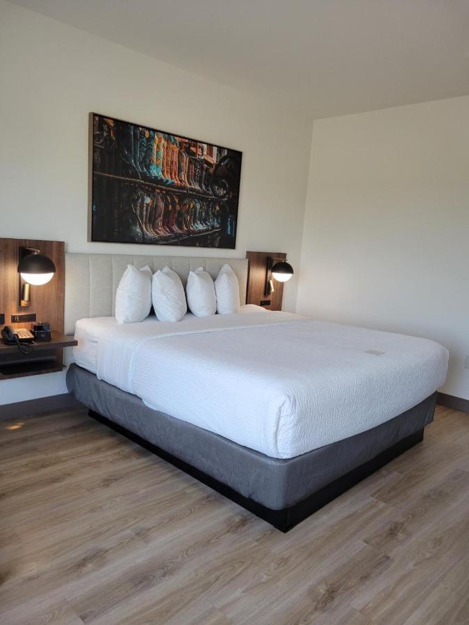 La Quinta Inn & Suites By Wyndham Terrell Dış mekan fotoğraf