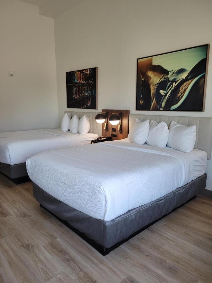 La Quinta Inn & Suites By Wyndham Terrell Dış mekan fotoğraf