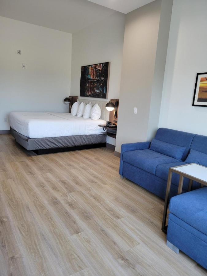 La Quinta Inn & Suites By Wyndham Terrell Dış mekan fotoğraf
