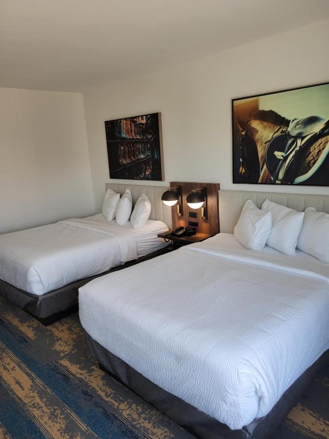 La Quinta Inn & Suites By Wyndham Terrell Dış mekan fotoğraf