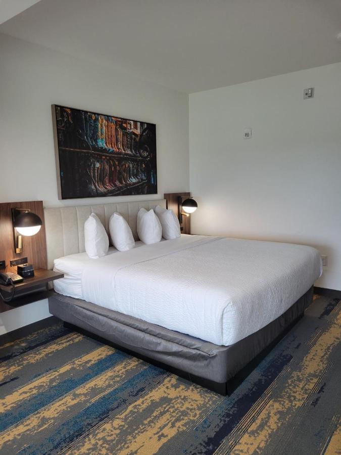 La Quinta Inn & Suites By Wyndham Terrell Dış mekan fotoğraf